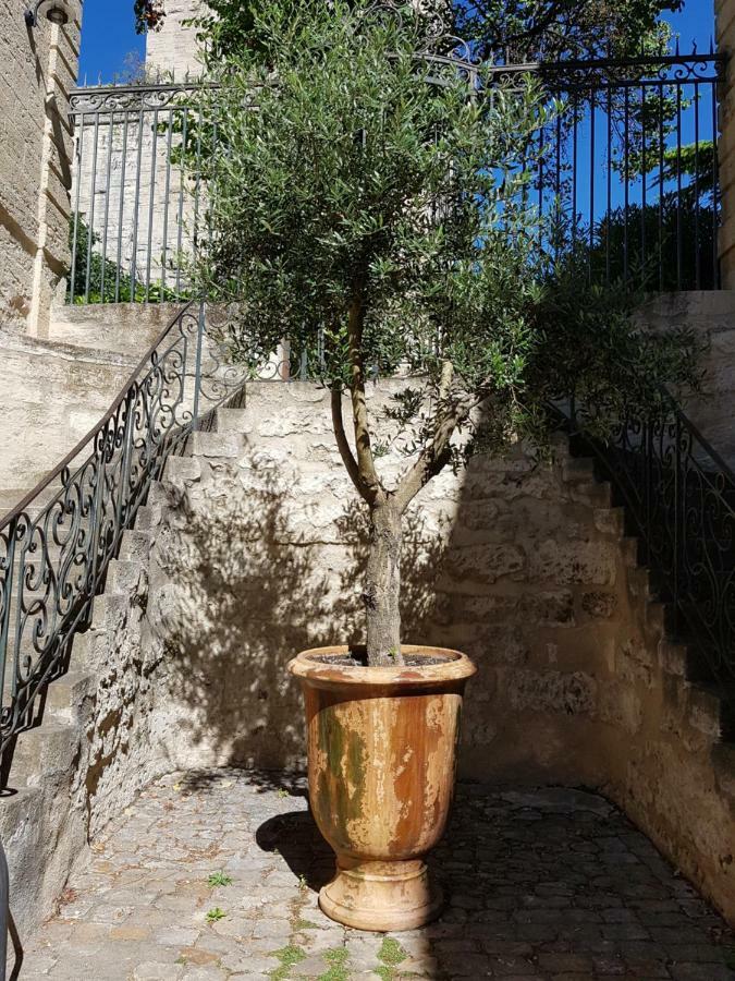 Appartement Dans Hotel De Flaux Uzes Ngoại thất bức ảnh